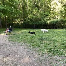 Dog Park at William Davies Park